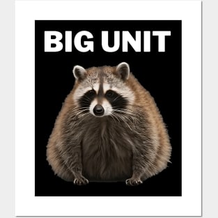 fat raccoon Posters and Art